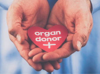 Hands holding a paper heart shape with the words organ donor written on it