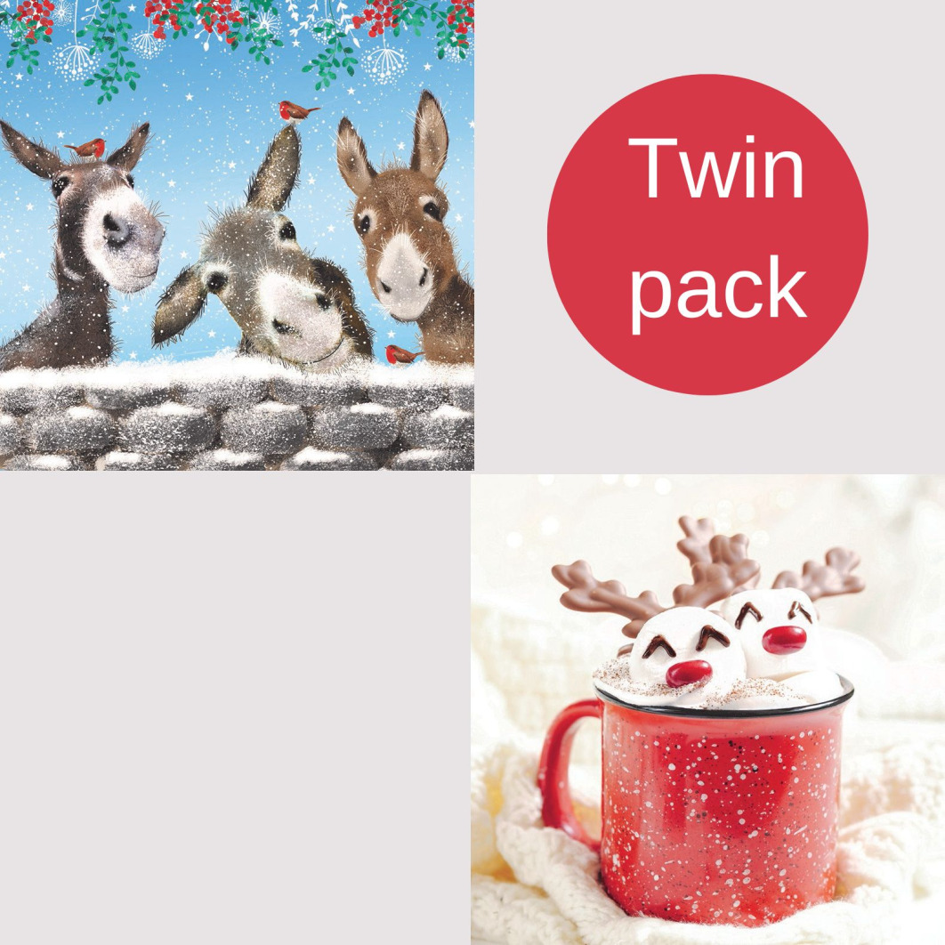 Cute animal charity Christmas cards festive donkeys and Rudolf